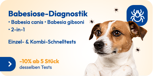 Babesiose-Diagnostik